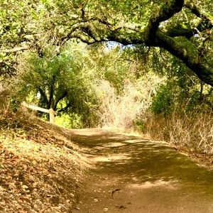 Meet your Posher, Arnita